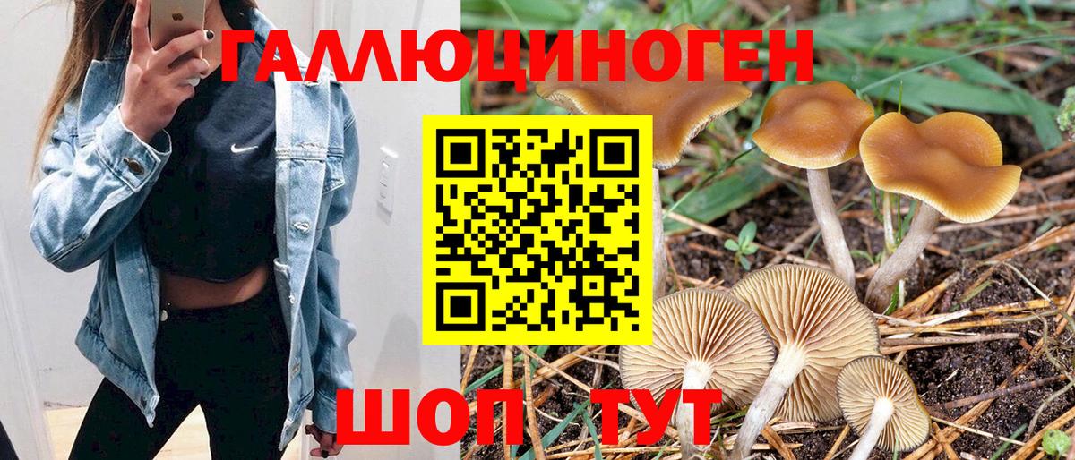 Галлюциногенные грибы прущие грибы  Вход с VPN  Галлюциногенные грибы Psilocybine cubensis  Острогожск 