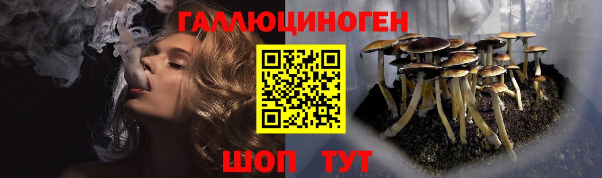 Галлюциногенные грибы Psilocybe Острогожск
